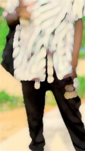 azizo le python sur TikTok