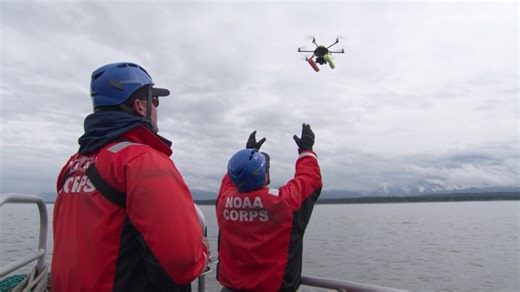 Microsoft’s $5 million program aims to use AI for global good, focuses on Washington innovators