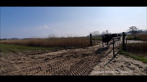 76K views · 8.5K reactions | Es geht loooooos (*English version...