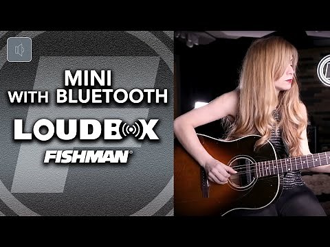 Fishman Loudbox Mini with Bluetooth