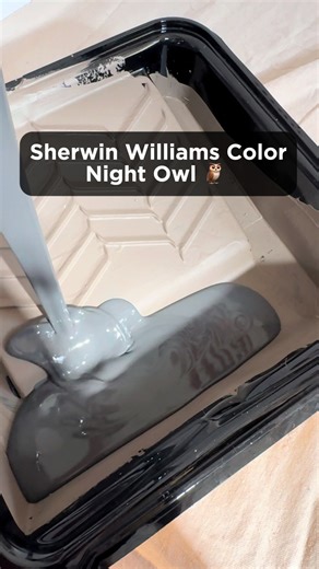 Night Owl 🦉 #painting#sherwinwilliams#wallpainting#art#diy | night owl sherwin williams