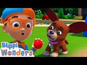 Blippi Plays Ball with Dogs! | Blippi Wonders Animated Adventures for Kids | Moonbug Kids