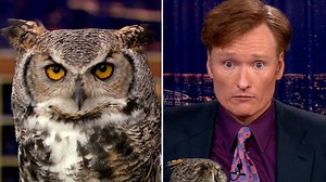1.7M views · 11K reactions | Happy #InternationalOwlAwarenessDay! Watch animal expert Jarod Miller introduce Conan to a Great Horned Owl. #ConanClassic | Team Coco | Facebook