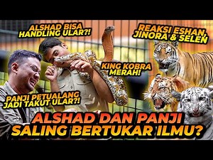 ALSHAD DAN PANJI BERTUKAR ILMU? LANGSUNG BISA HANDLING COBRA MERAH! ESHAN JINORA SELEN KETEMU COBRA!