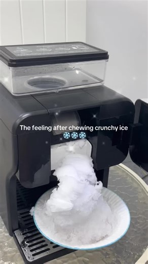 Grab the lowest price 🤤#snowicemaker #giftguide #shavedicemachine #ASMR #snowconemachine #icemakersatisfaction #icelover