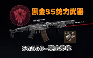 【暗区突围】SG550突击步枪，黑金国际S5新势力武器！