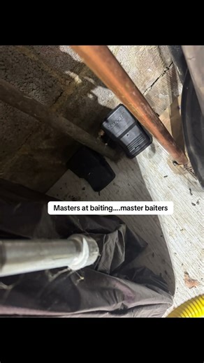 Setting rat traps 🐀 🪤 💥 ☠️ #RatTrap #pestcontrolchronicles #rats