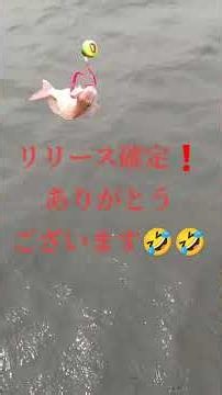 #Short#鯛ラバ#釣り初体験#瀬戸内海#うどん県#高松遊漁船勝栄丸 サワラキャスティング&鯛ラバ釣行にご案内しました❗3名様はオフショアも鯛ラバも初体験のフルレンタル手ぶらプラン🤩