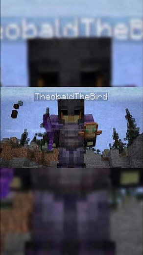 TheBaldTheBird Enters The Zone ‪@TheobaldTheBird‬ #minecraft #unstable #smp