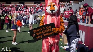 There's no mascot in college football that compares to Aubie - the ultimate cheerleader and lovable troll. Inside Aubie the Tiger’s long legacy as a beloved ‘prankster’ 👀: https://trib.al/3OiAC5W | Auburn Tigers on AL.com