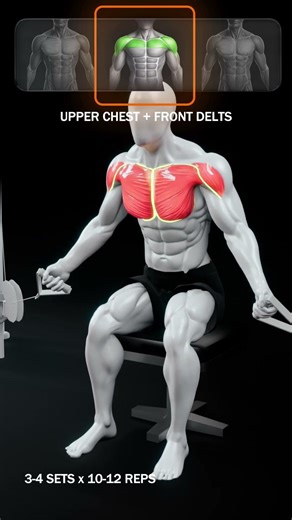 Full Chest Workout 💪 | Build a Strong & Powerful Chest