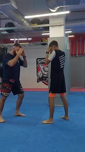 4.7K views · 26 reactions | Knockout Low Kick: Technique and Training...