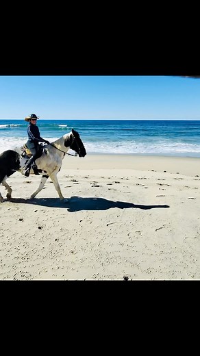 Moss Landing,Ca Such a fun day on Tennessee Walking Horses Gaited Horse Training with Gaye DeRusso The Majestic Rider #horsetraining #tennesseewalkinghorse #HorseLife #horseloverforever #california #horses #horse #horseriding #horsesofinstagram #horsesofinstagram #gaitedhorse | Gaye Derusso
