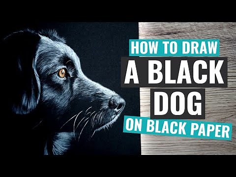 How to Draw on Black Paper - Black Dog Pitt Pastel Pencil Tutorial