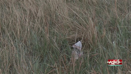 54th Community Cleanup Week