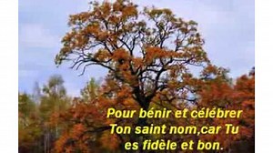 C'est vers toi que je me tourne