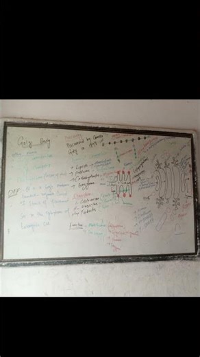 #Cell structure #humananatomy #Golgi Apparatus #Golgi body #golgi complex