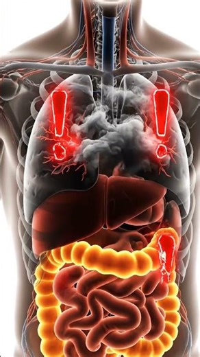 How Drinking and Smoking Harm Your Gut | Inside Body 3D Animation