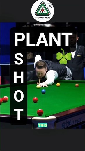 "The Magician" #snooker #shorts #shortsfeed #diy #cuesports