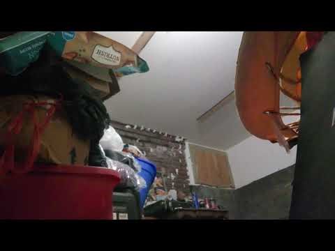 Definitely heard sounds