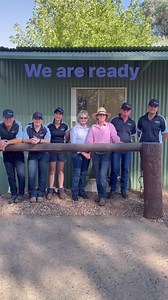 8.3K views · 32 reactions | We’re ready are you !!! Nutrien Equine - Standardbred Success Stud | Campbell’s Comments | Facebook