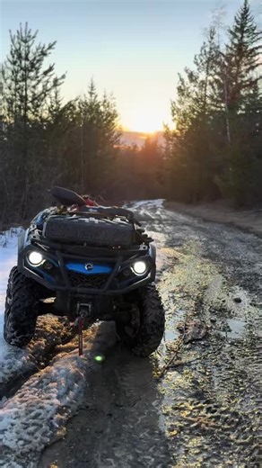 I’ll bleed on your shoes