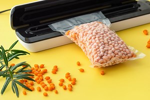8 Fixes For Vacuum Sealer Not Vacuuming - Miss Vickie