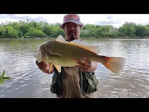 This Is How Sheephead Will Be Cooked N Eaten In The Future.