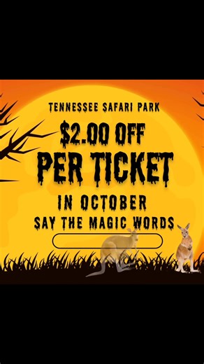 3.9K views · 20 reactions | 輦 This week’s Magic Words are… “BOO-roo!” Say it at the ticket booth and get $2.00 OFF per ticket! Did you know? 輦 Kangaroos can’t hop backward — so there’s no turning back once the fun begins! Hop in for a spook-tacular safari adventure! #tennesseesafaripark #magicwords #Kangaroo #fallbreak #familyfun | Tennessee Safari Park | Facebook