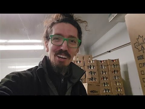 What it's like working in a grocery store