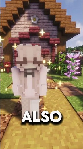How I Get Wings In Minecraft