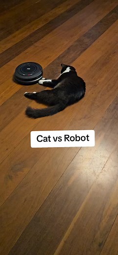 felix vs robot vacuum 🥊 #catvsvacuum #wap #catsoftiktok
