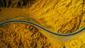 Unscripted Nature – Real Moments in 4K