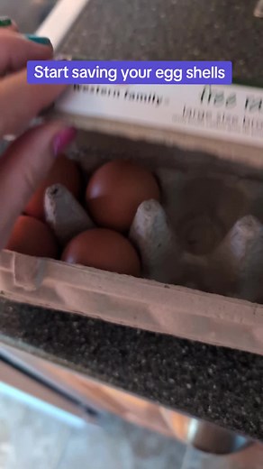 Utilize Eggshells for Protection Spells: Wiccan Moon Magic