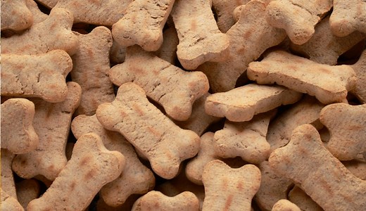 Dog treat recall: Throw out these contaminated treats sold in 19 states ASAP