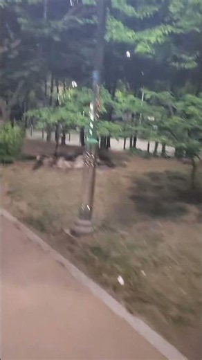 AI 시대 국민권익금 절대 필요