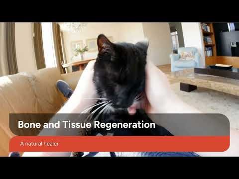 The Healing Power of Cat Purrs! #CatCare #PetScience