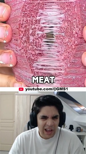 They're 3D Printing Meat Now?! 🤢🤮
