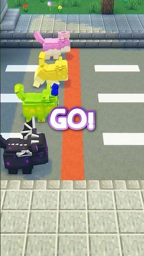 MeeMeow RACE!