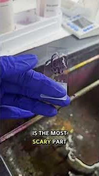 How to Perform a Gram Stain #medlab #nursingstudent #microbiologyclass