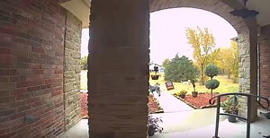 Porch thief caught on camera