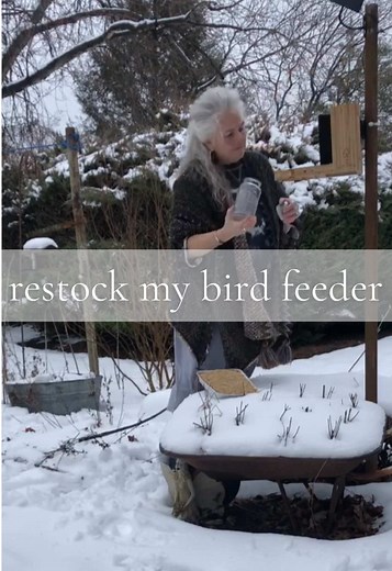 the jar is a seed mix from my local birding store, and the block is a suet I make from oats and bacon grease—the birds and squirrels love it❣️if you look close you’ll even see some of our deer friends 🦌❤️ #birding #birdwatching #restockwithme #restock #birdfeeder #suet #homemadebirdfeeder #deer #homestead #lunaslunaverse