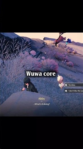 Wuwa core in 3.3 💀🔥 #wutheringwaves