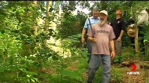 2.9K views · 11 reactions | A Yellow Crazy Ant expert has been flown...