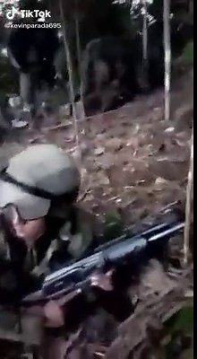 Simulated Combat Training in Forested Environment