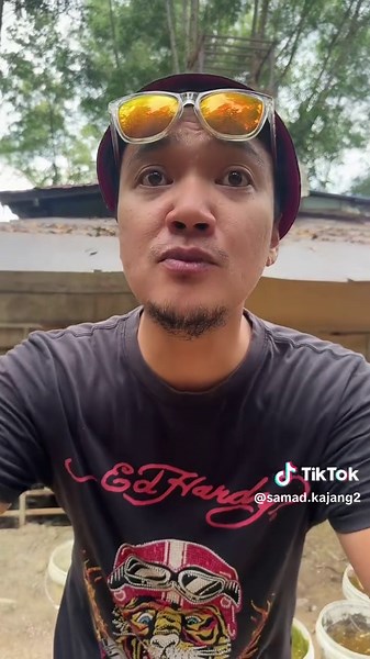 Exploring Samad Kajang: Mystical Stories and Legends