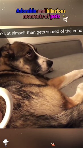 #reactionvideo #reactions #omg #wtf #unexpected #no_way#respectmoment #respectpost #kindness