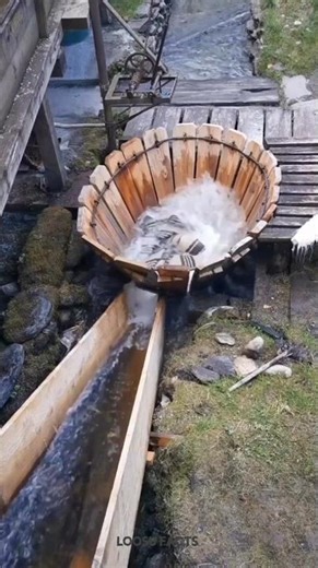 natural washing machine #facts #tamil #shorts