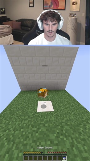 @Sapnap Minecraft truth or lie #minecraft #minecraftmemes #minecrafter | sapnap