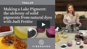 Making a Lake Pigment: the alchemy of solid pigments from natural dyes with Judi Pettite